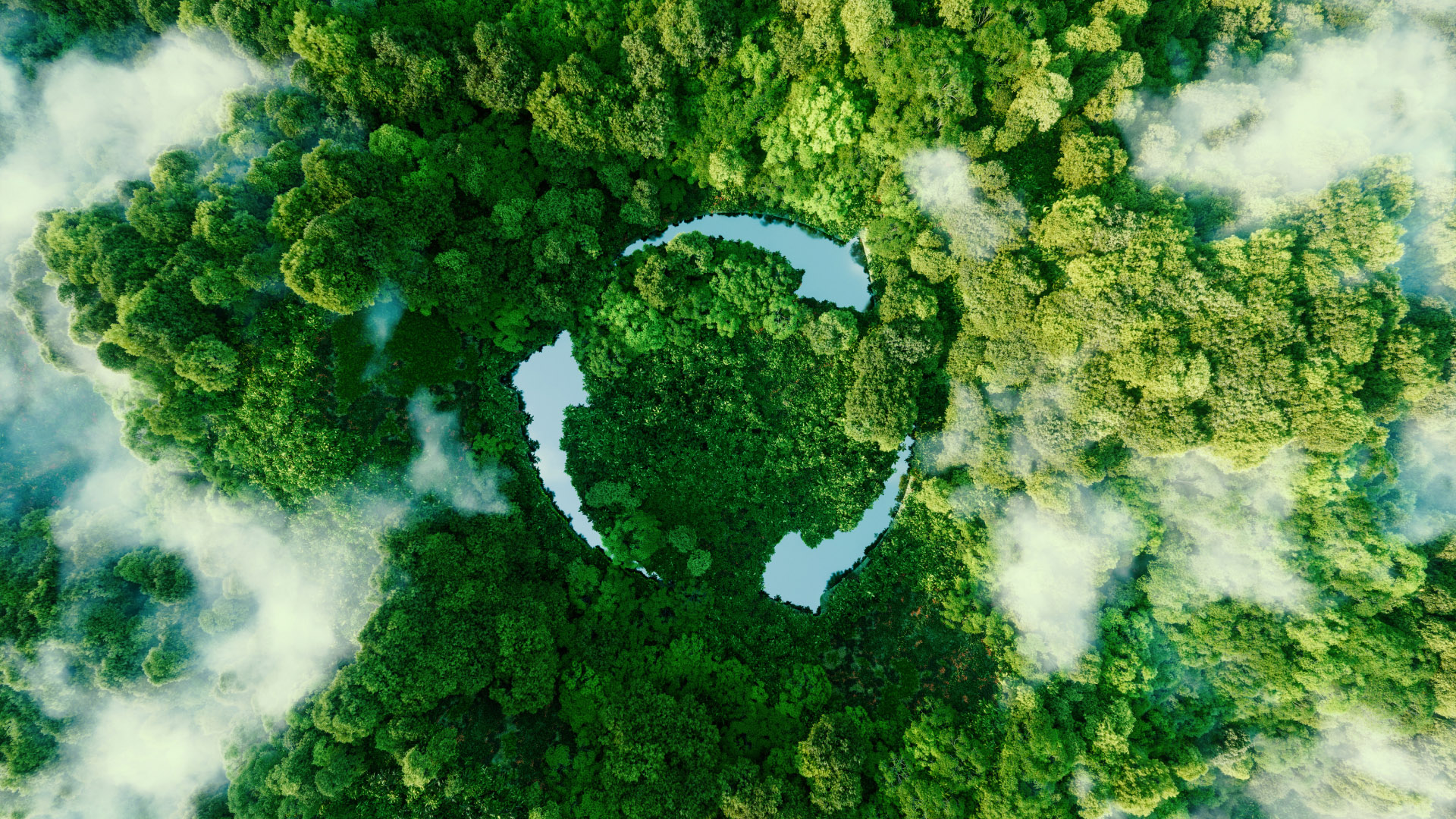 Embracing the circular economy: your path to sustainable PP corrugated solutions