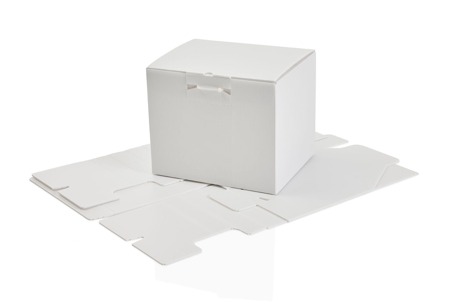 Distriplast - Protection & packaging